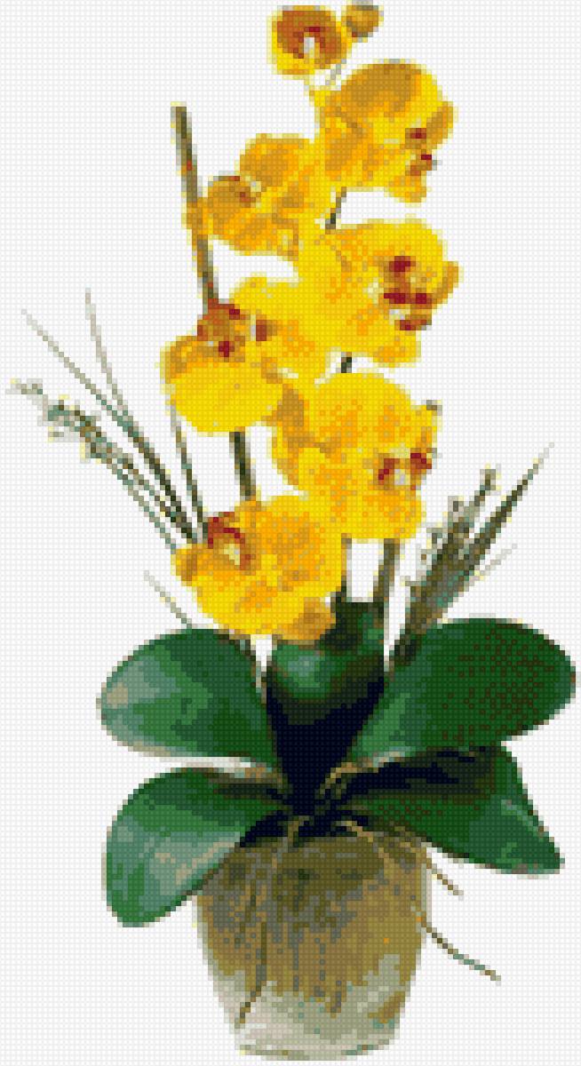 желтая орхидея - цветы, орхидея - предпросмотр