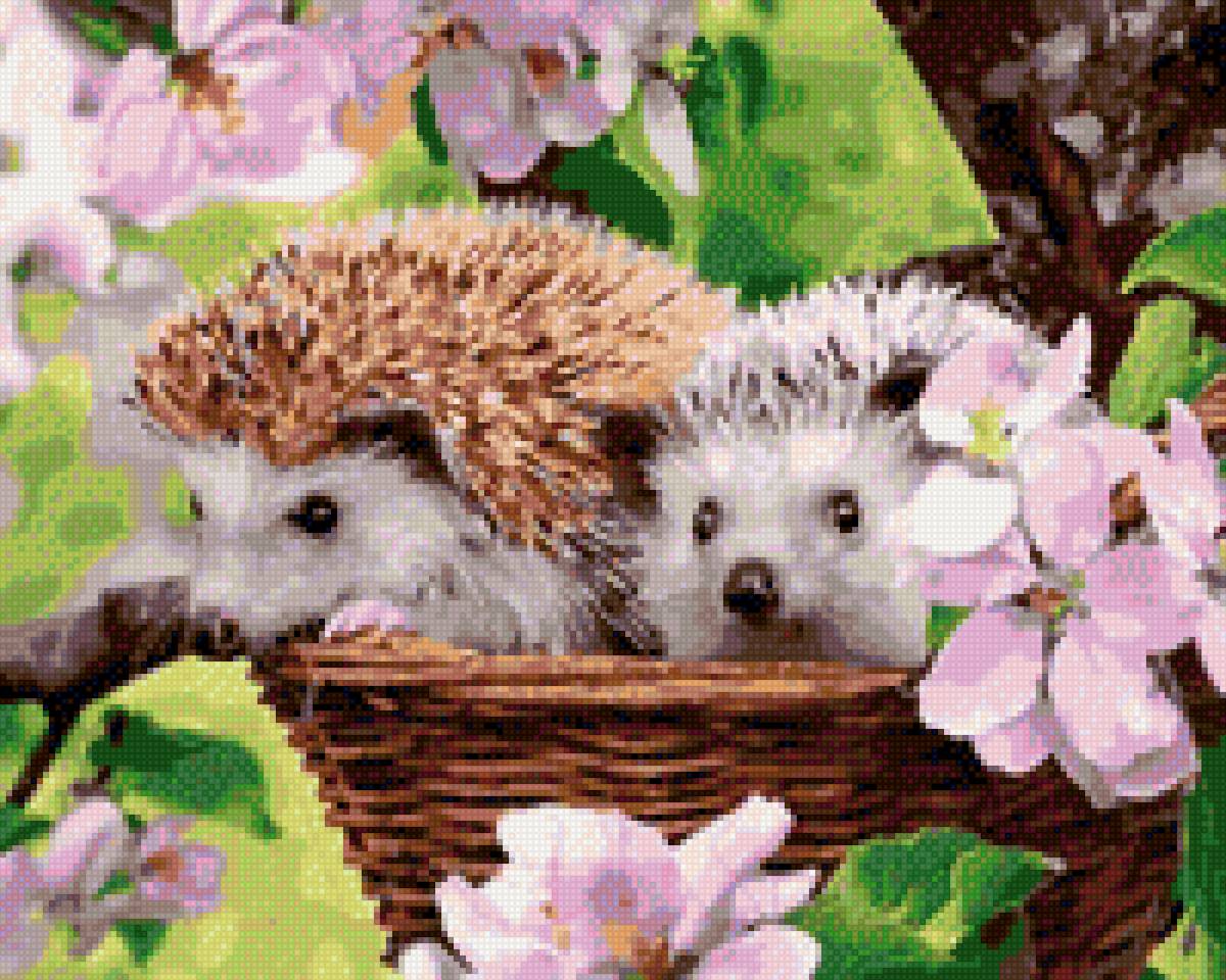 Ёжики - предпросмотр