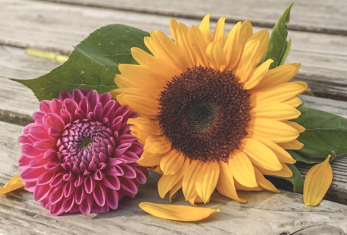 №2207852 - оригинал