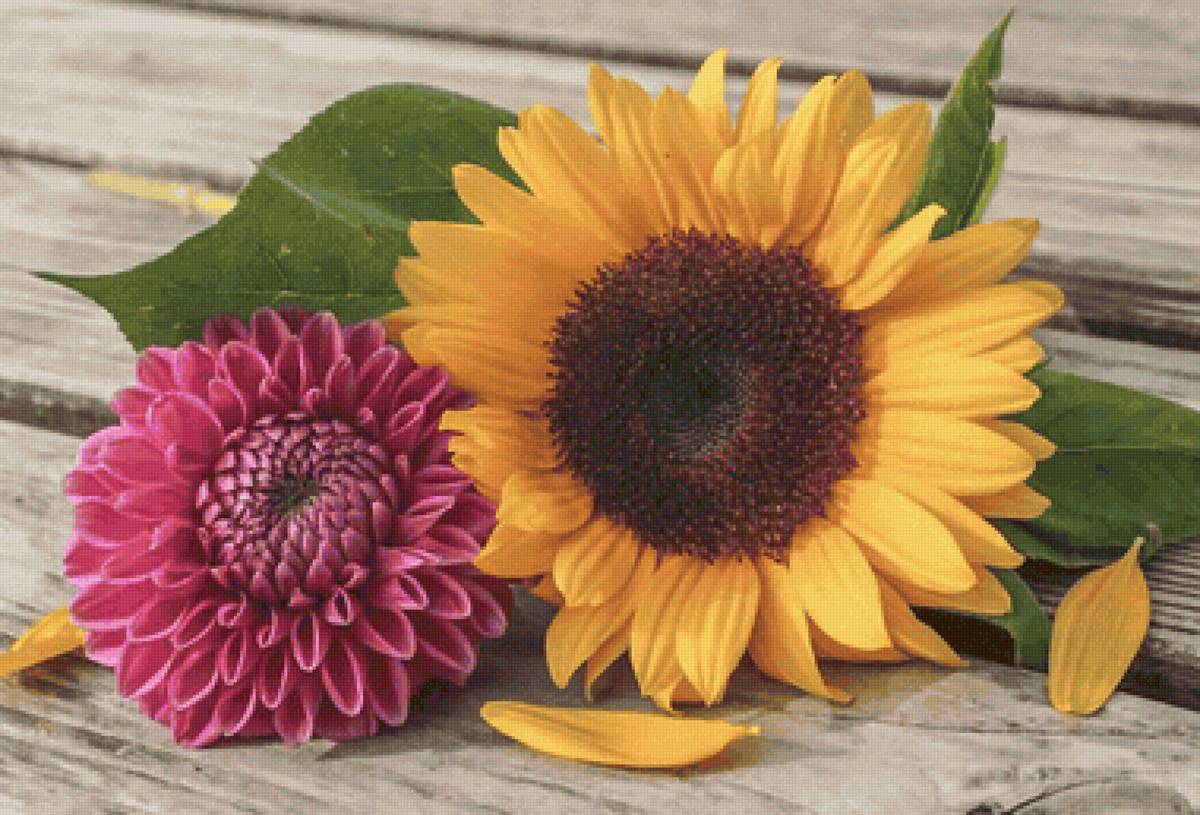 №2207852 - предпросмотр