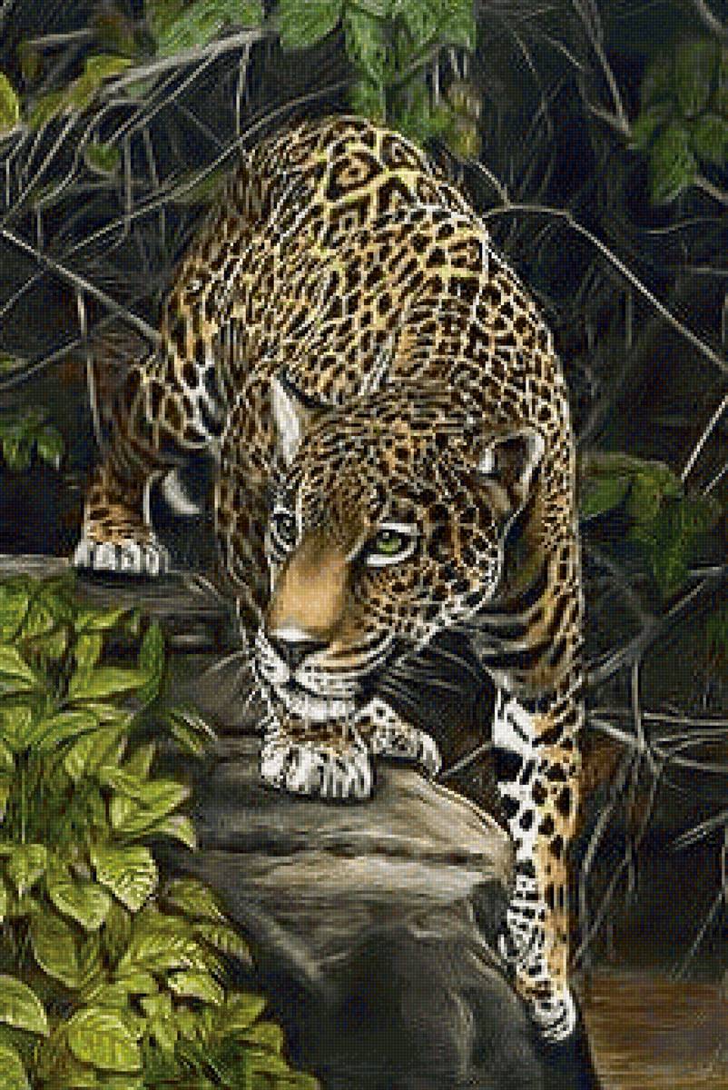 Ягуар - животное, хищник, ягуар. - предпросмотр