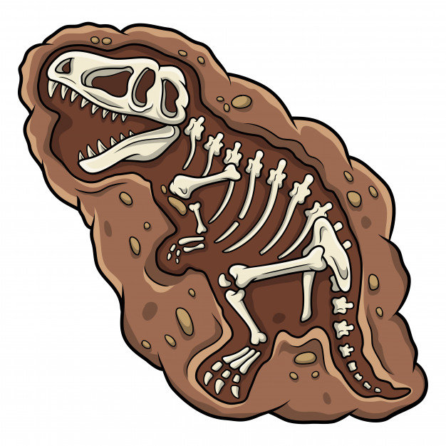 fosil - niños - оригинал