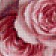 Предпросмотр схемы вышивки «букет роз» (№2208104)
