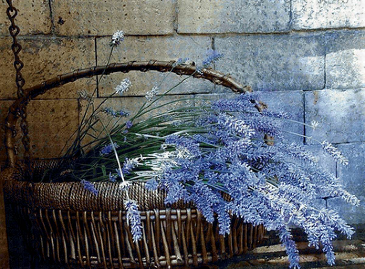 №2208152 - предпросмотр