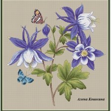 Схема вышивки «Аквилегия»
