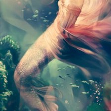 Схема вышивки «Русалка»