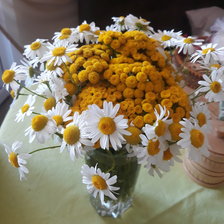 Схема вышивки «Настроение»