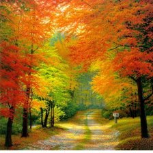 Схема вышивки «Осень в лесу»