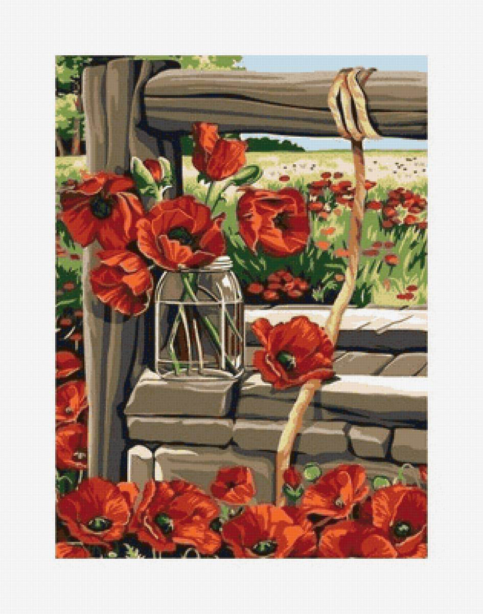 маки - предпросмотр