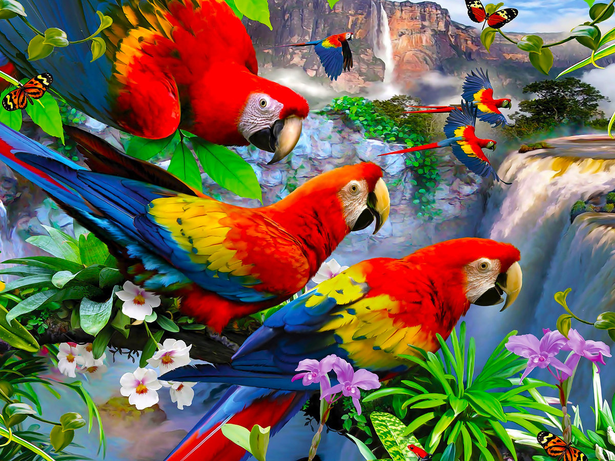 Ара у водопада - попугаи, ара, природа, цветы, водопад - оригинал