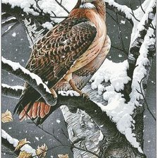 Схема вышивки «сокол»