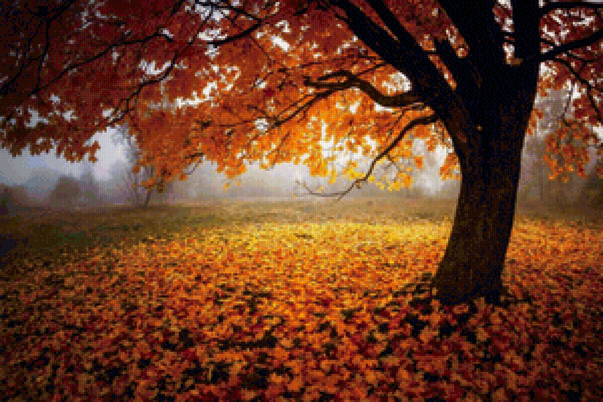 Природа - лес, природа - предпросмотр