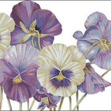 Схема вышивки «АНЮТИНЫ ГЛАЗКИ»