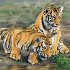 Схема вышивки «тигрята у воды»