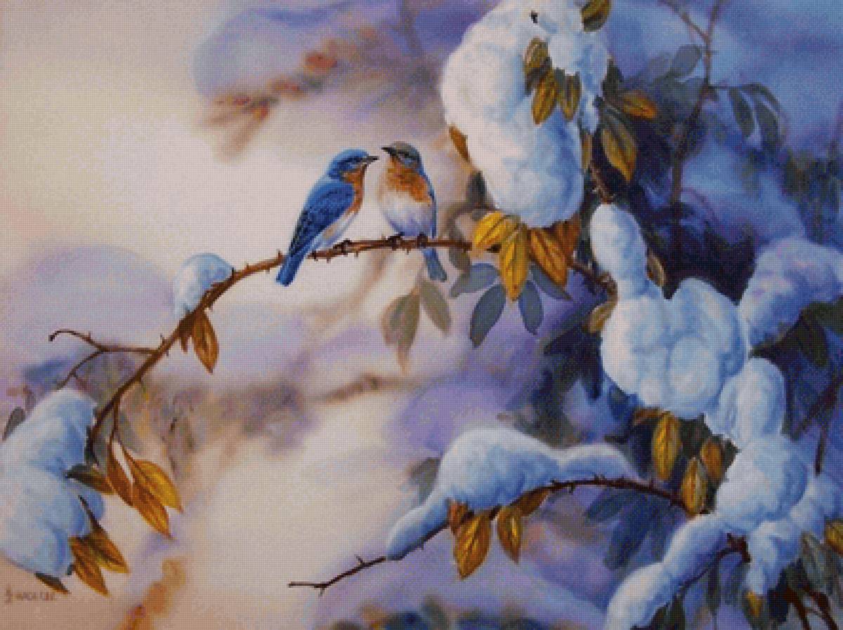 Птицы - птицы - предпросмотр