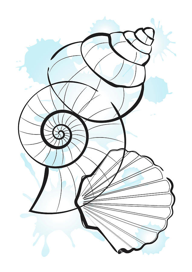 №2210800 - ракушки - оригинал