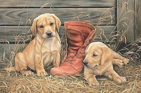 друзья - оригинал