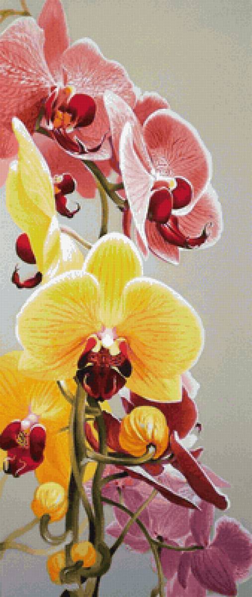 №2211026 - предпросмотр