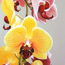 Схема вышивки «№2211026»