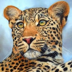 взгляд хищника - взгляд леопард хищник - оригинал