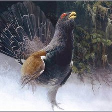 Схема вышивки «глухарь»