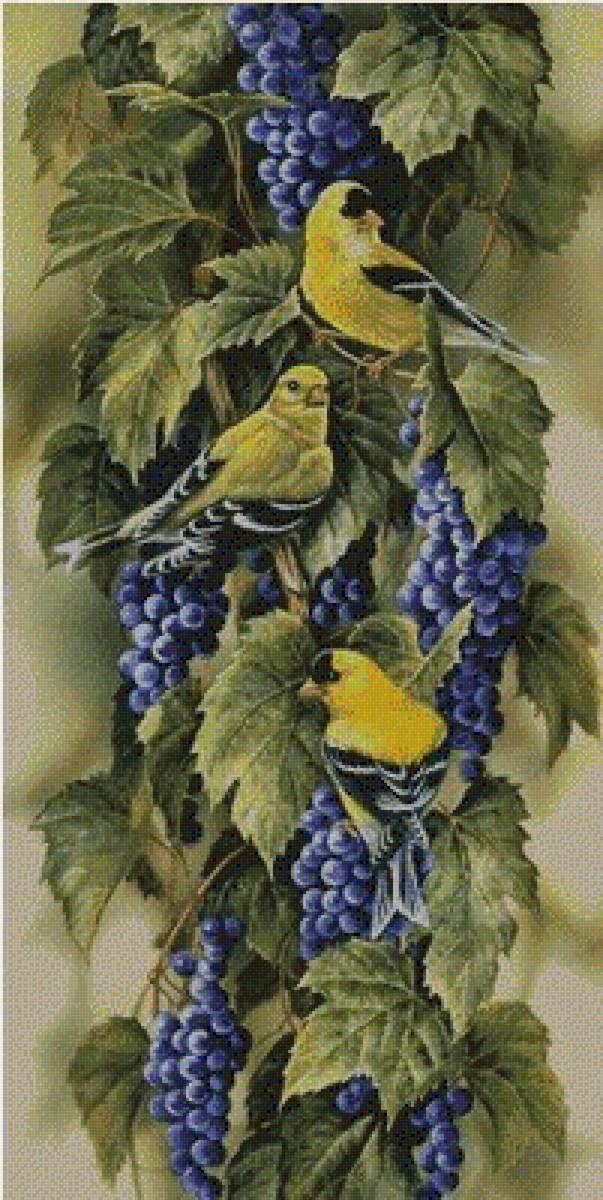 птички и виноград - птицы виноград гроздь - предпросмотр