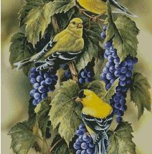 Оригинал схемы вышивки «птички и виноград» (№2211186)