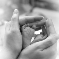 Схема вышивки «нежность»