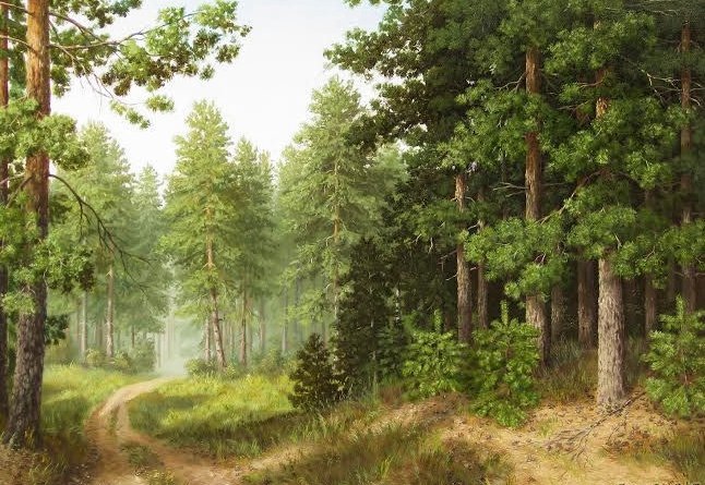 лесная дорога - природа - оригинал