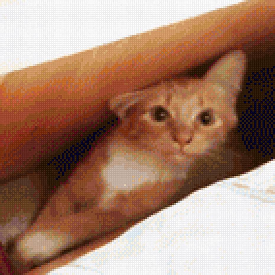 я нашлась - предпросмотр