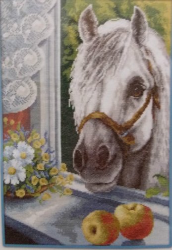 Любопытный сосед - лошадь, любопытный, окно - оригинал