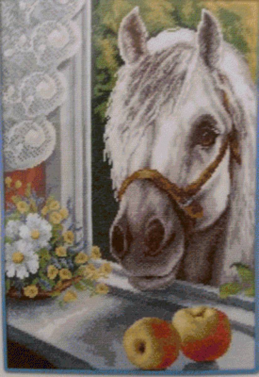 Любопытный сосед - любопытный, окно, лошадь - предпросмотр