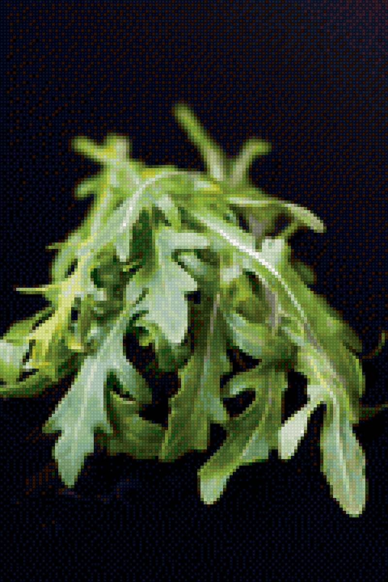 Салат - для кухни - предпросмотр