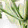 Предпросмотр схемы вышивки «хризантема» (№2211735)