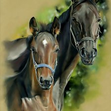 Схема вышивки «Коне»