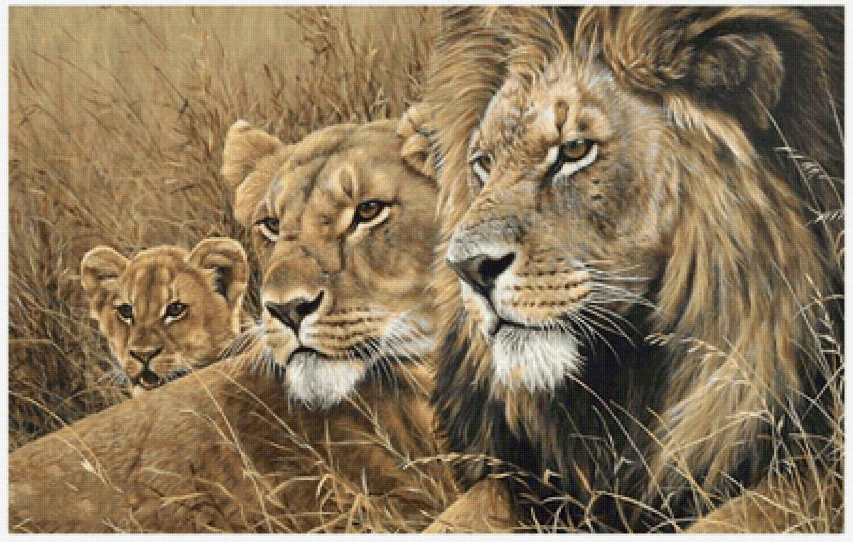 №2212000 - львы, животные - предпросмотр