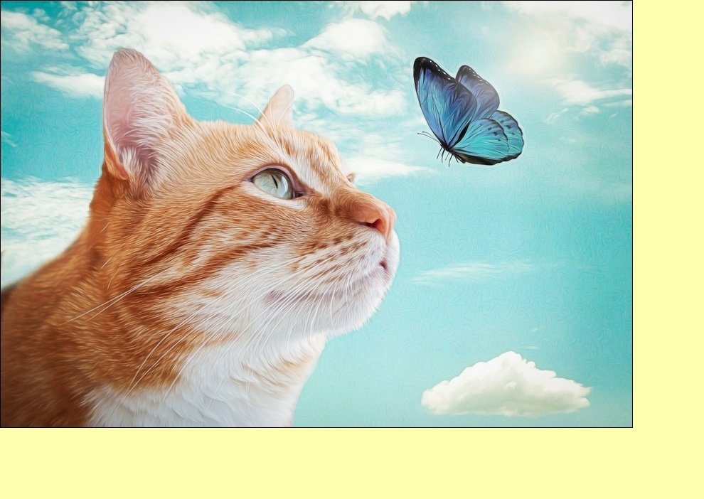 №2212003 - коты, животные - оригинал