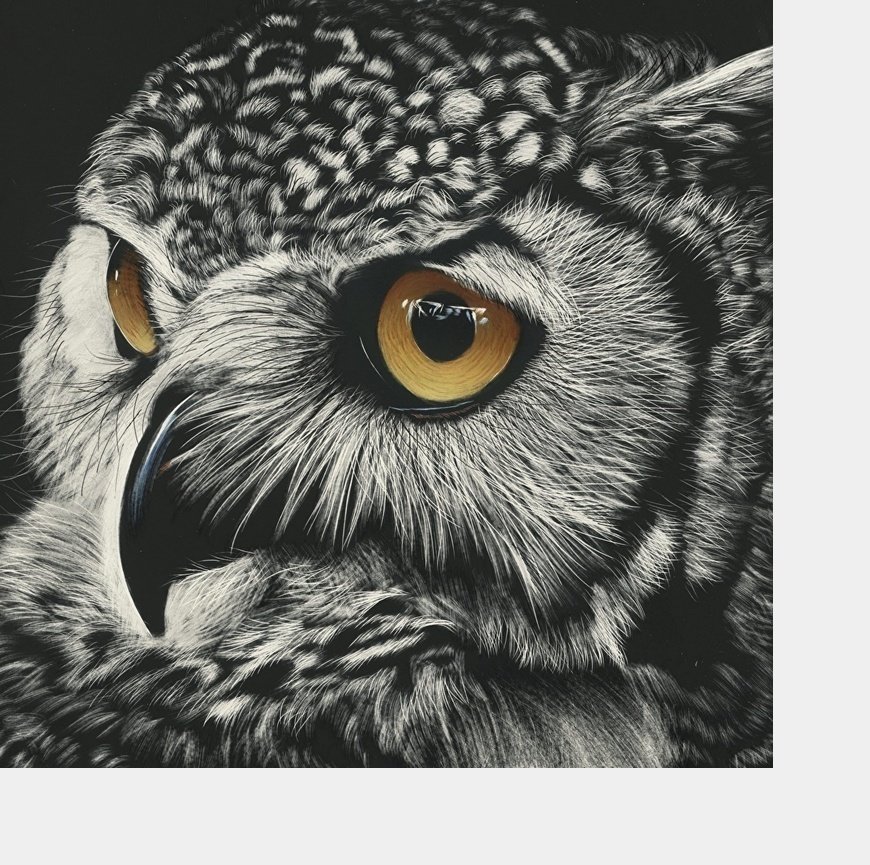 №2212006 - совы, птицы - оригинал