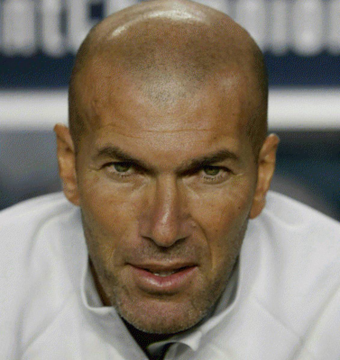 Зинедин Зидан - предпросмотр