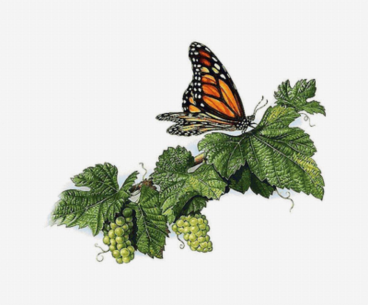 №2212505 - предпросмотр