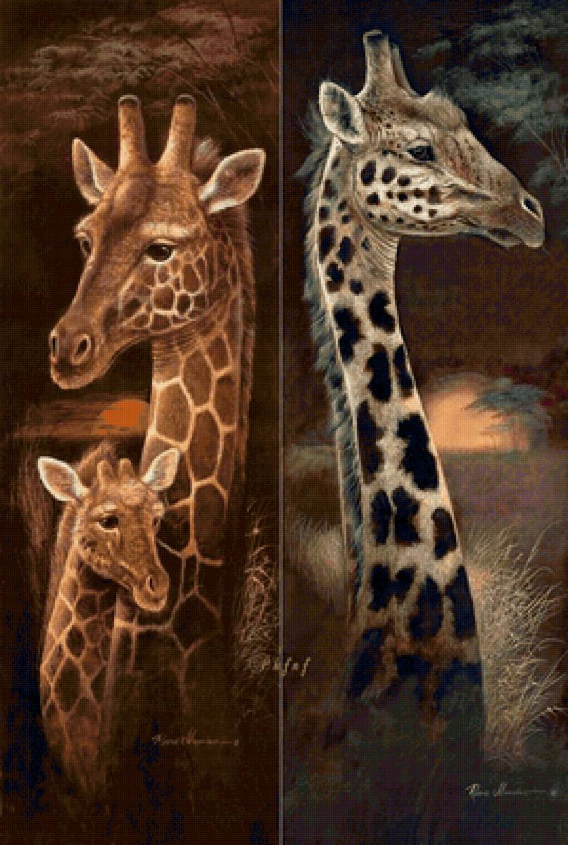 Collage- ЖИРАФЫ - животные - предпросмотр