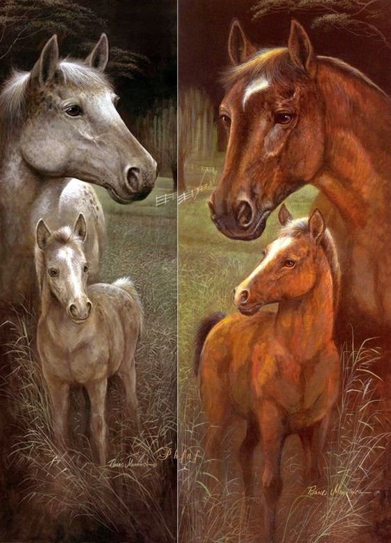 Collage- ЛОШАДИ - оригинал