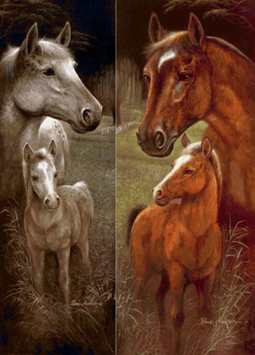 Collage- ЛОШАДИ - предпросмотр