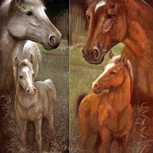 Collage- ЛОШАДИ