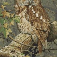 Схема вышивки «птицы»