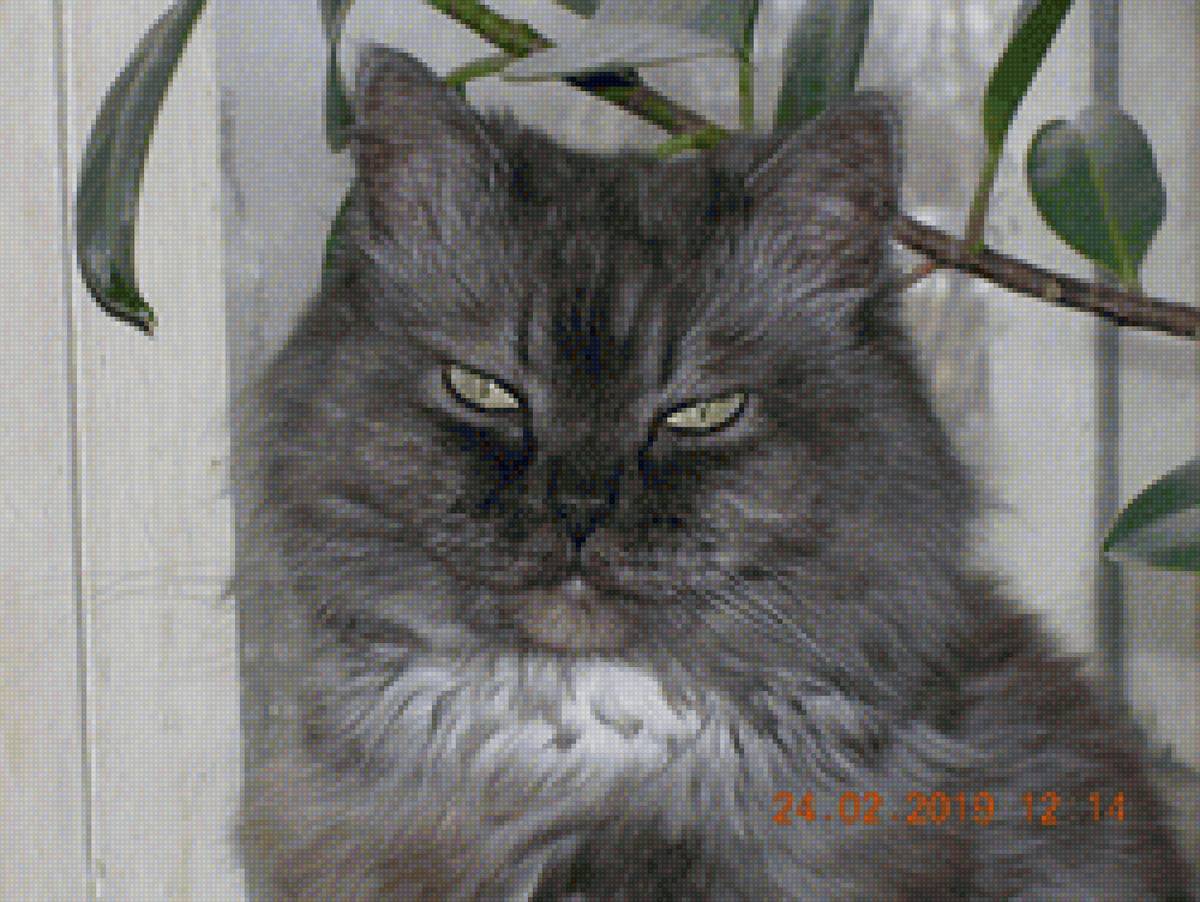 №2213094 - предпросмотр