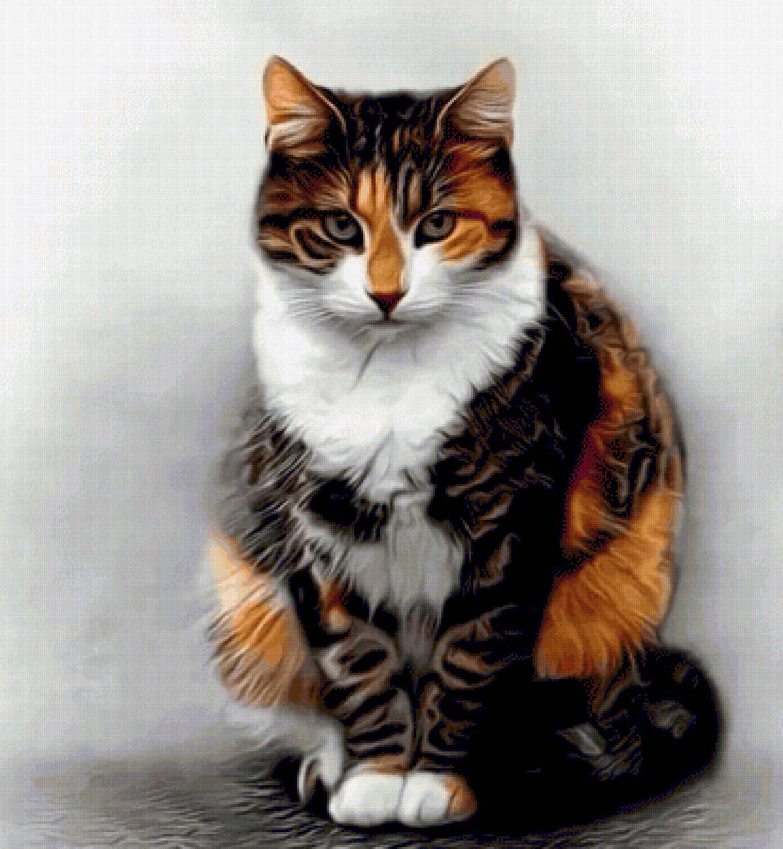 Бывают ли трехцветные кошки. Трехцветная черепаховая кошка. Черепаховая кошка Калико. Сибирская кошка трехцветная короткошерстная. Рыжий кот с черепаховым окрасом.