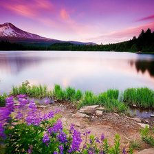 Схема вышивки «озеро»