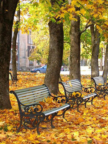 Осень в городском парке - скамья, город, парк, пейзаж, листва, осень, лист, деревья, сезон - оригинал