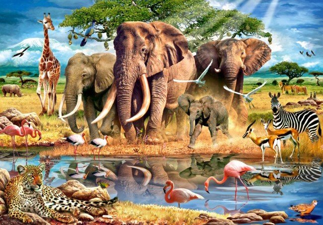 Живая природа - животные - оригинал